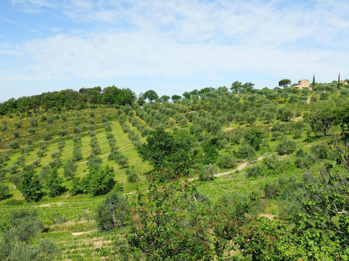 Holiday Home Poggio Velluto By Interhome Seggiano Dış mekan fotoğraf